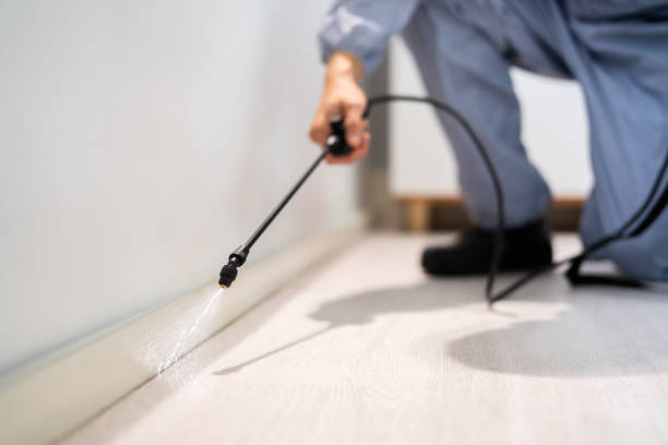 Rodent Entry Point Assessment in Latrobe