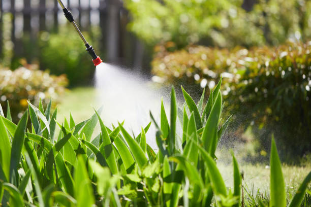 Tamper-Resistant Bait Stations for Rodents in Latrobe
