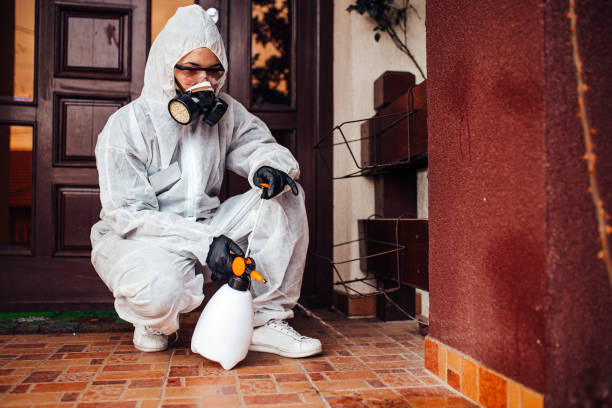 Attic and Crawl Space Rodent Treatment in Latrobe