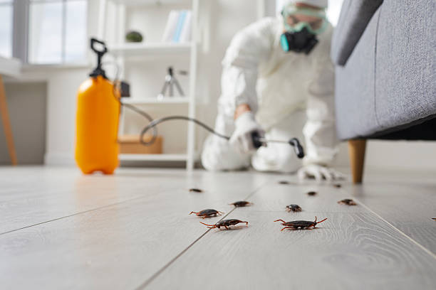 Commercial Rodent Management in Latrobe
